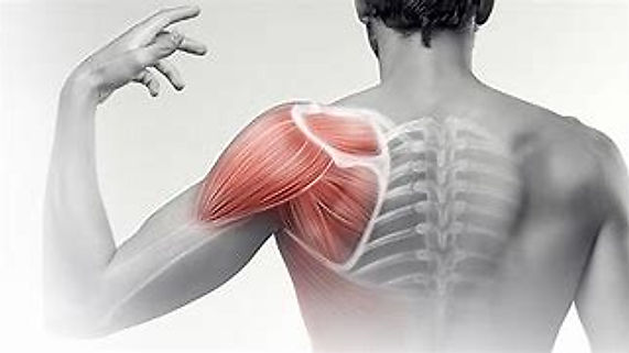 Self-help video: Neck and shoulder pain relief - part 2